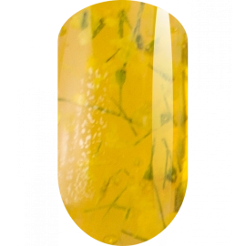Ta2, Гель Botanic Yellow 5g